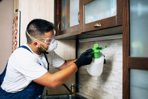 Best Affordable Pest Control Services  in Nanuet, NY