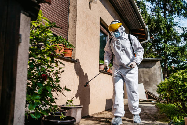 Best Pest Control Near Me  in Nanuet, NY