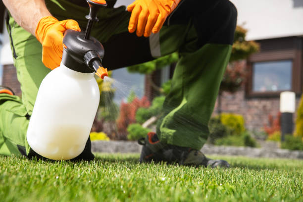 Best Pest Inspection Near Me  in Nanuet, NY