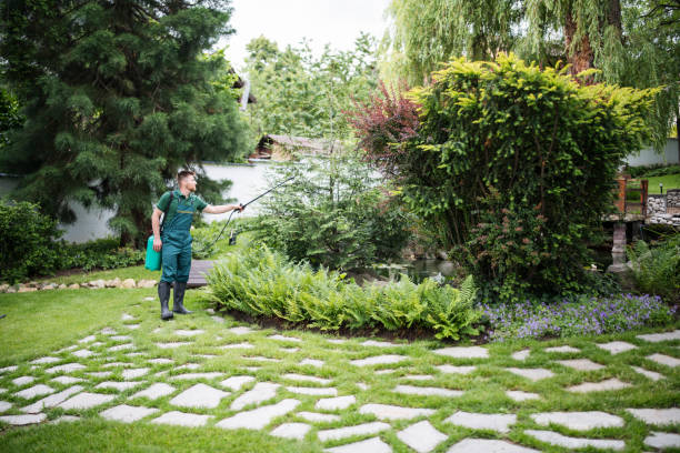 Best Affordable Pest Control Services  in Nanuet, NY