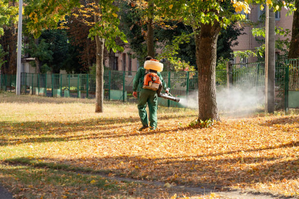 Best Flea Control Services  in Nanuet, NY