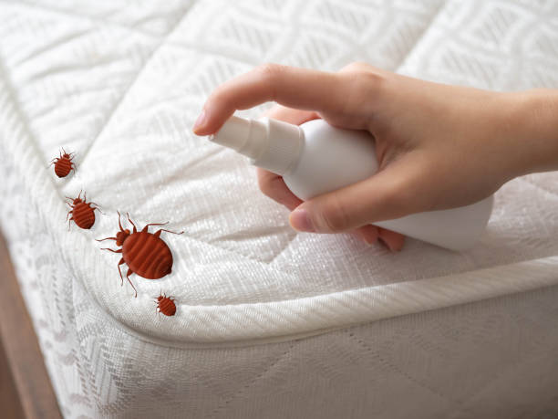 Best Exterminator Services  in Nanuet, NY