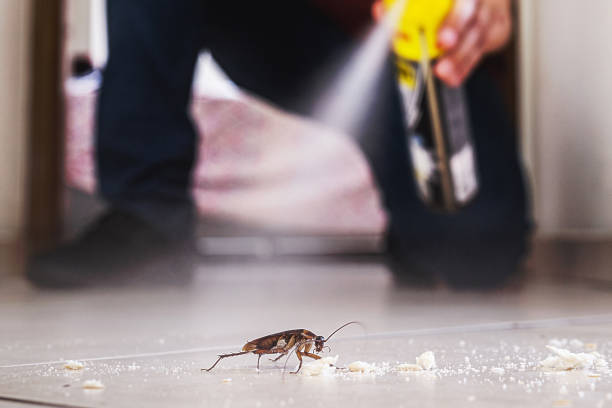 Best Best Pest Control Companies  in Nanuet, NY