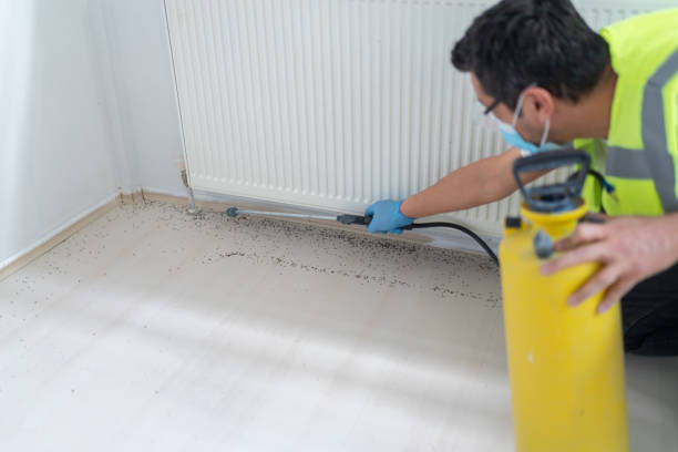 Trusted Nanuet, NY Pest Control Experts