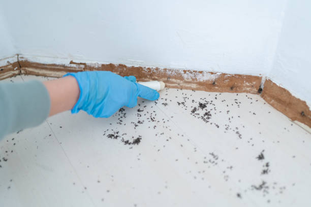 Best Commercial Pest Control Services  in Nanuet, NY